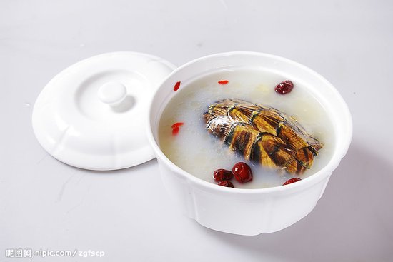 青蒿甲魚(yú)湯