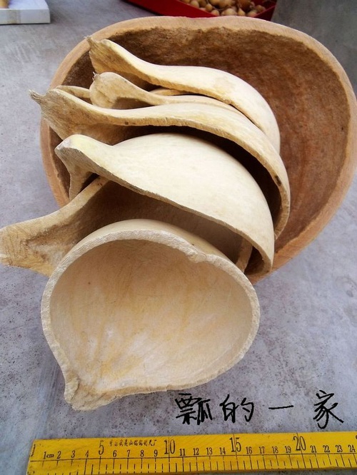 陳壺盧瓢原態(tài)